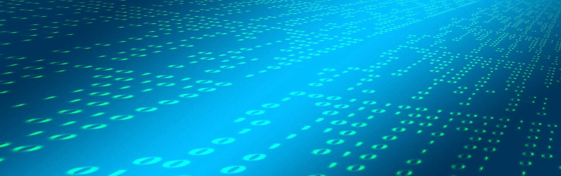 Web systems tailored to company needs