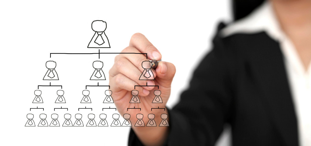 Organograma – Como um gráfico pode ajudar a sua empresa